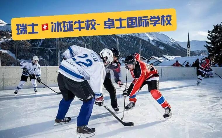 包含瑞士队球员个个亮眼,实现连胜助球队飞跃!的词条 包含瑞士队球员个个亮眼,实现连胜助球队飞跃!的词条