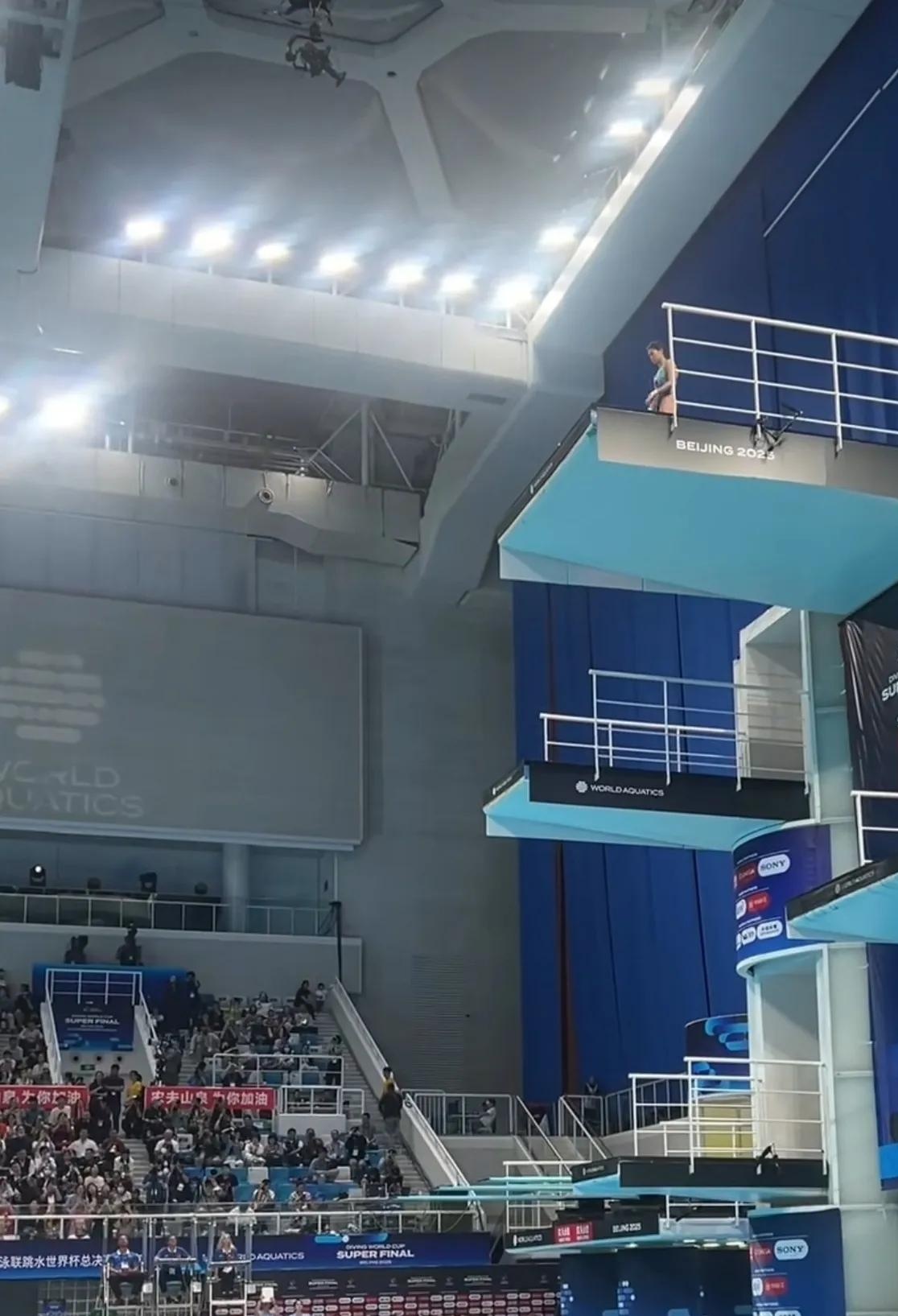 加拿大跳水选手表现抢眼，多次登顶领奖台的简单介绍