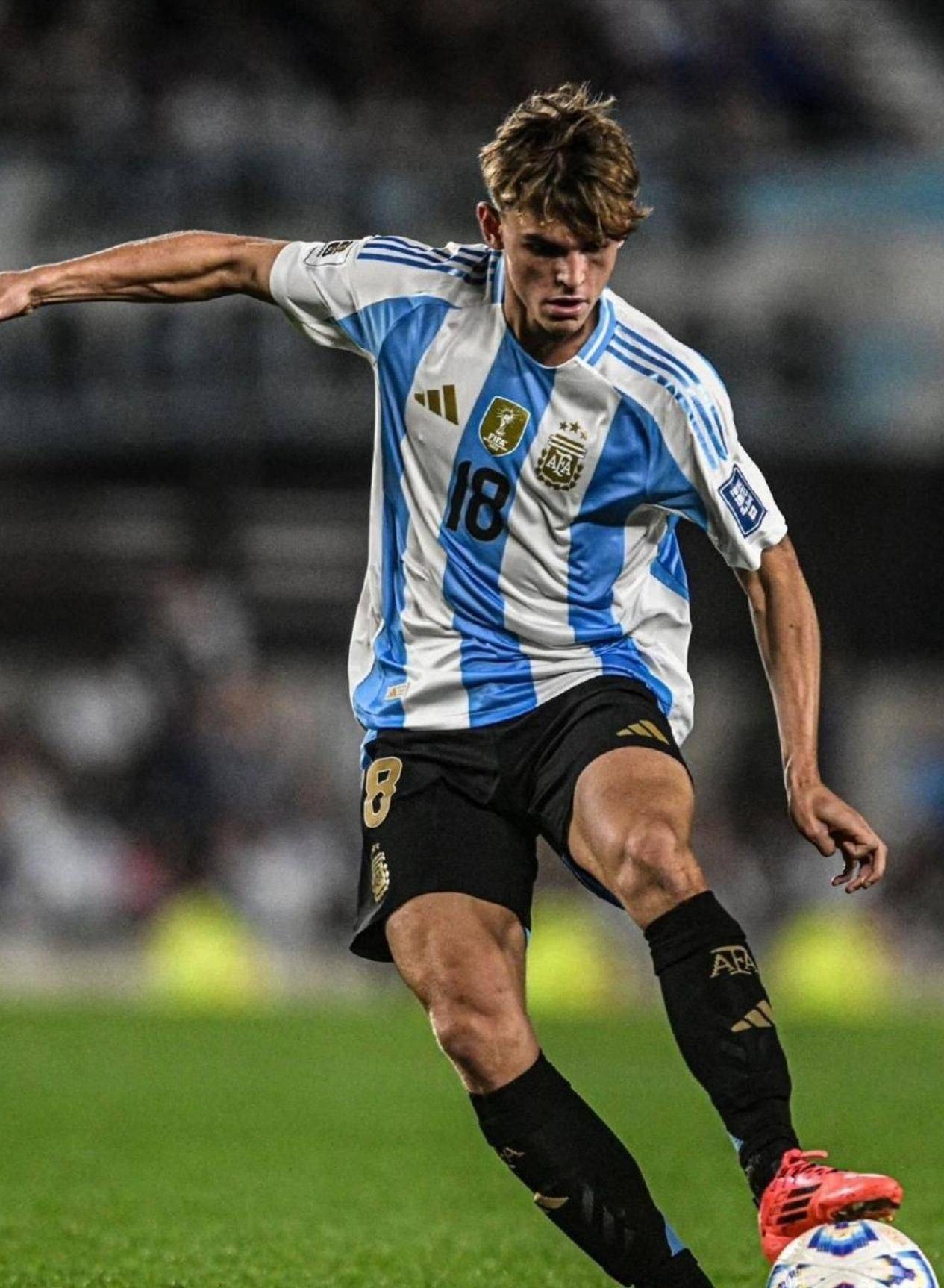 关于阿根廷球星遭遇伤病,未来或受影响的信息 关于阿根廷球星遭遇伤病,未来或受影响的信息